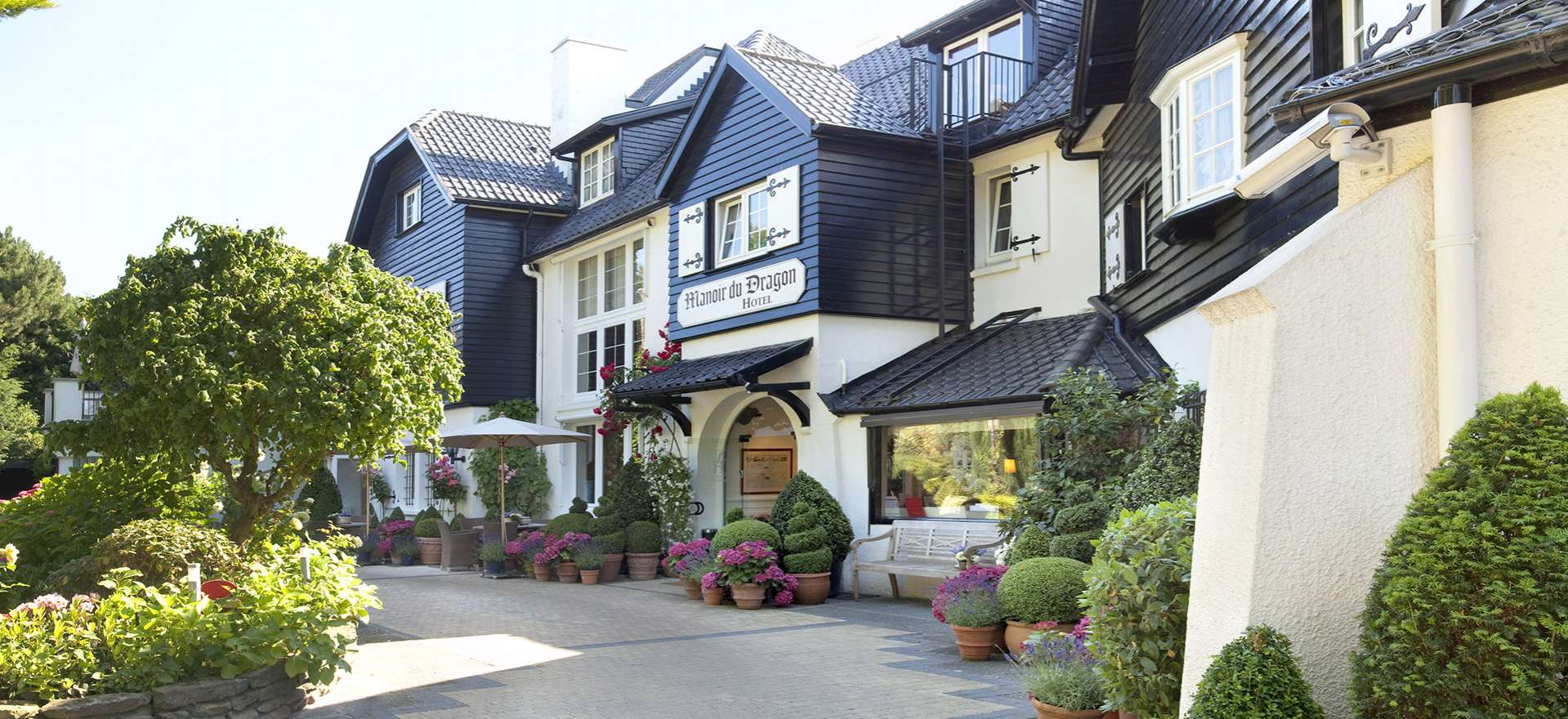 Voir la page de l'établissement "Manoir du Dragon"