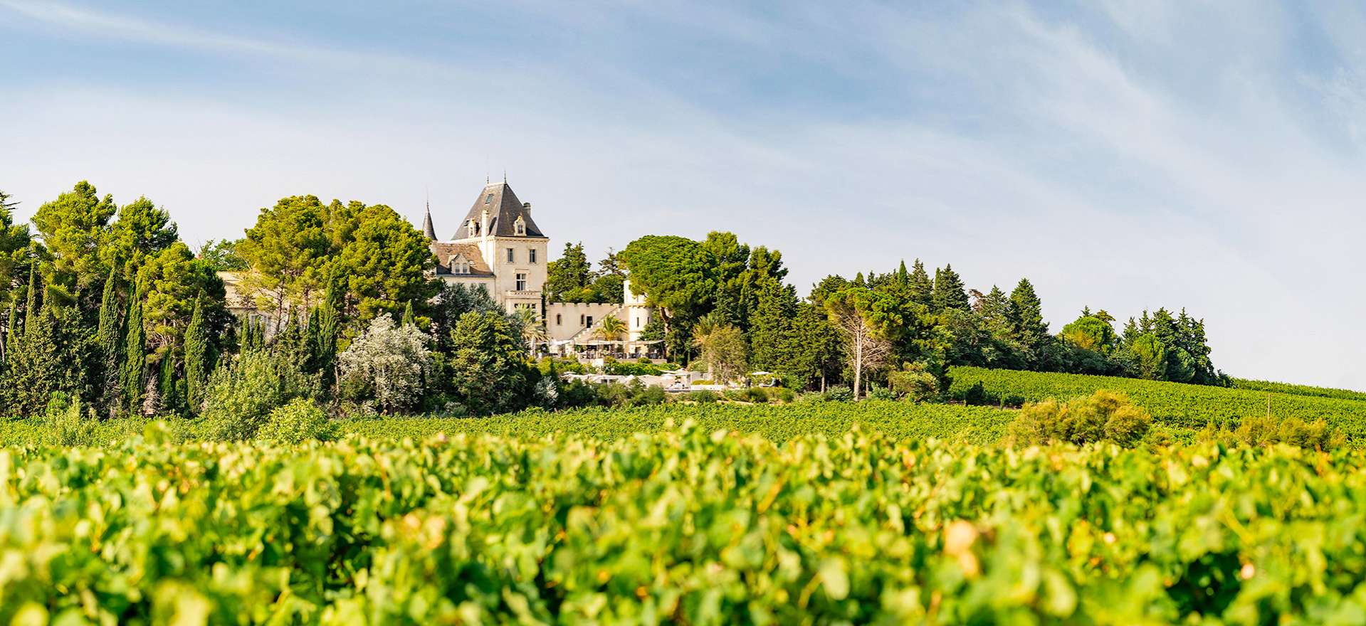 Voir la page de l'établissement "Château Les Carrasses"