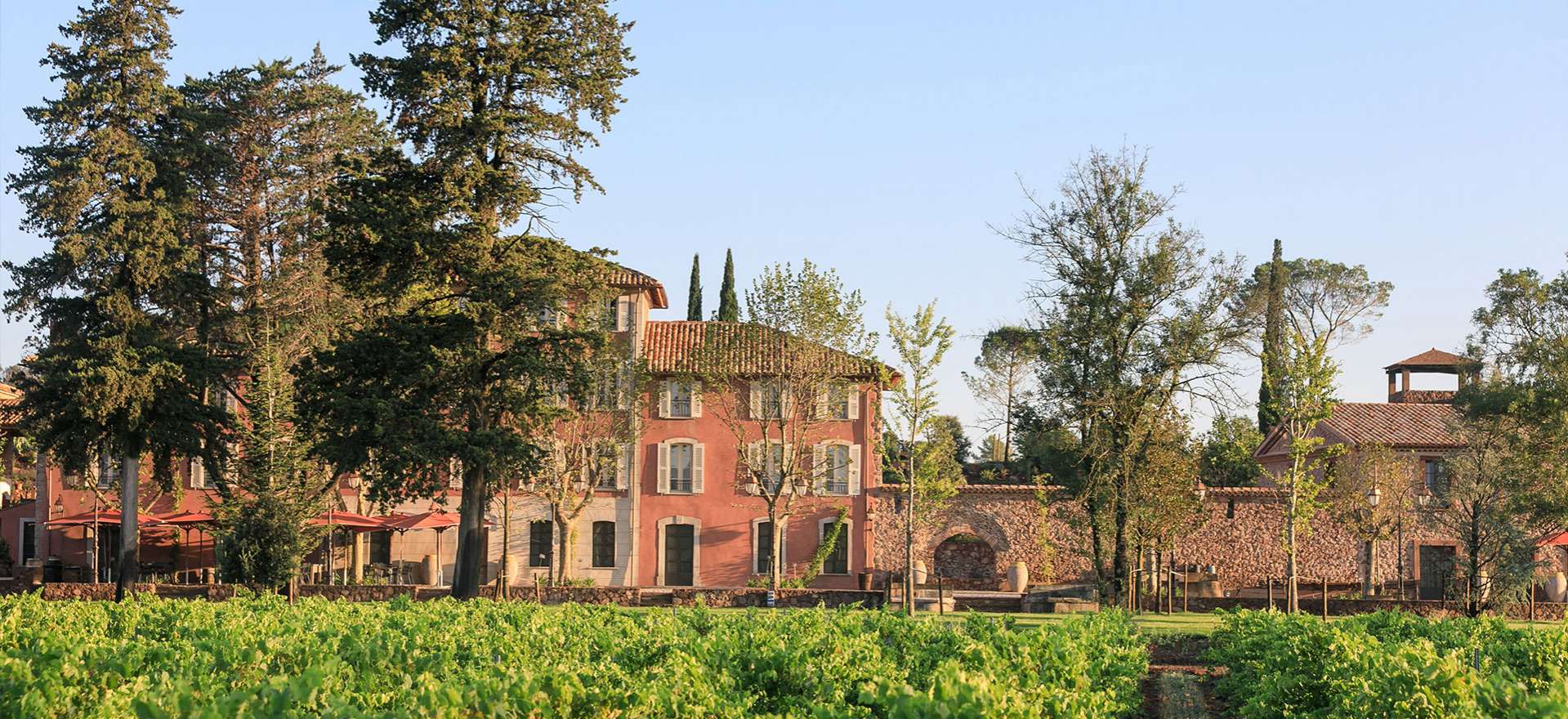 Voir la page de l'établissement "Château Saint-Roux"