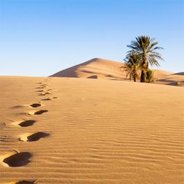 Hôtels au Maroc